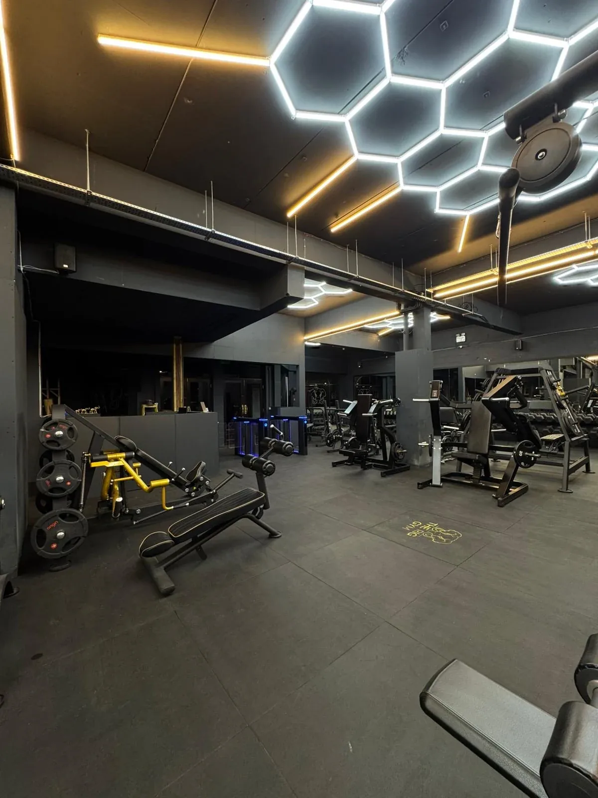 Class floor at The Rig Gym, Epsom — hexagonal LED ceiling and plate-loaded equipment