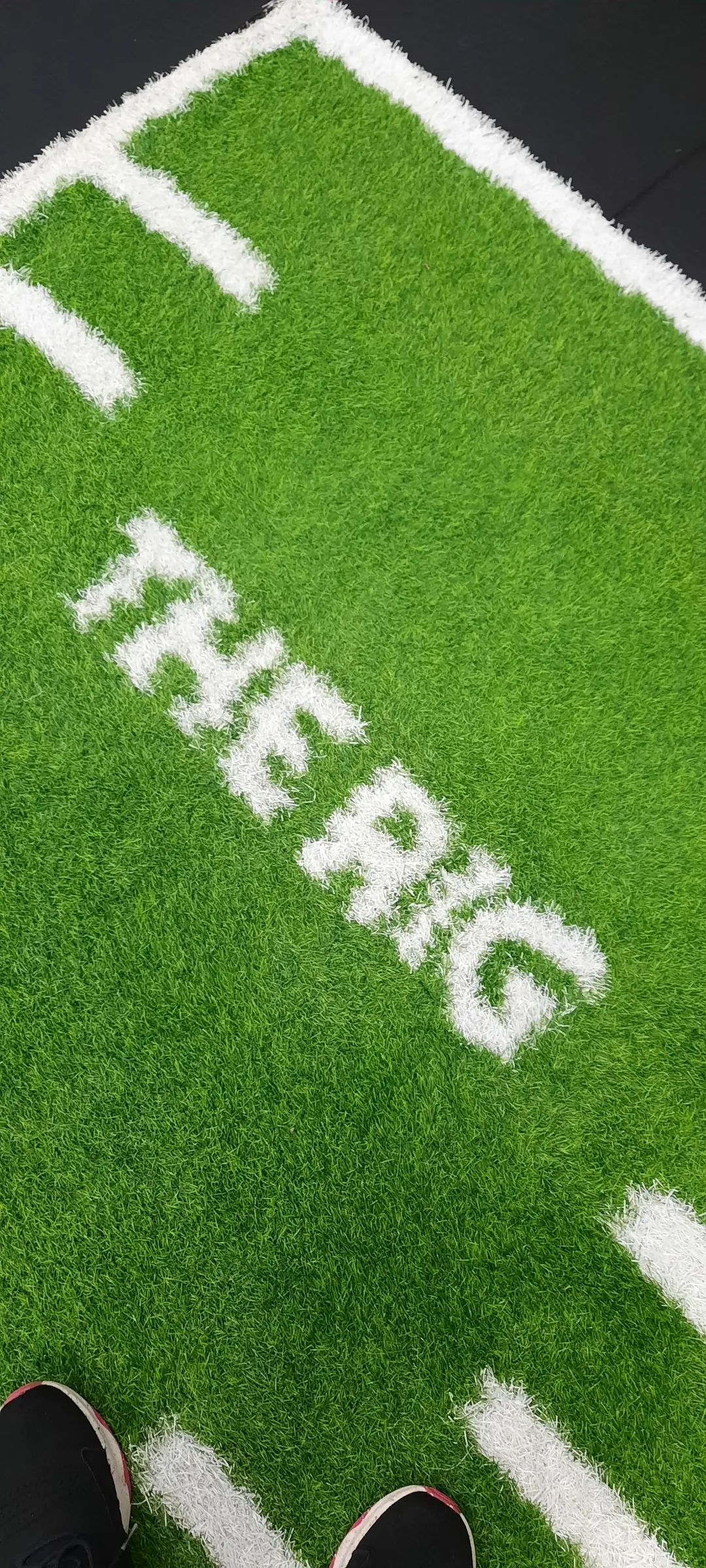 The Rig Gym training space, Epsom