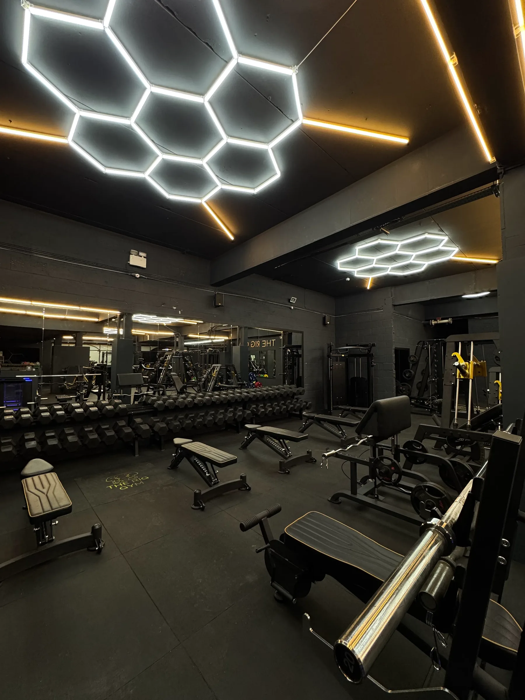 Inside The Rig Gym, Epsom — hexagonal LED ceiling, dumbbell racks and adjustable benches